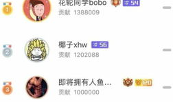 斗鱼直播间洞主91,斗鱼直播间的魅力之星