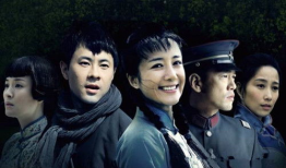 电视剧剧情简介,揭秘电视剧中的爱恨情仇