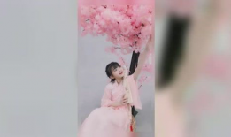 童模小苹果麻豆,闪耀童模界的璀璨新星