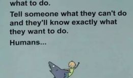 富有哲理的漫画,哲理故事启示录