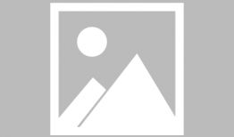 正在直播91风月海棠,91风月海棠，揭秘网络直播界的魅力与争议