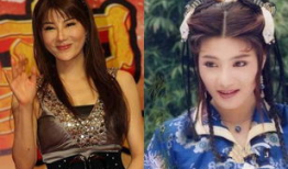 杨丽菁演过的电视剧,从武侠女神到多面荧屏风采