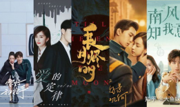 热播电视剧排行榜,盘点年度最受欢迎的电视剧佳作