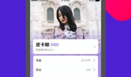 91网络直播,揭秘热门直播平台的魅力与挑战