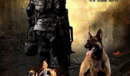 犬电视剧,忠诚与爱的守护者