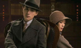 最新谍战悬疑电视剧,谍影重重