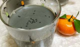 黑芝麻豆浆机,健康生活新伴侣