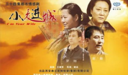 小麦进城电视剧在线看免费观看,走进农村女孩的奋斗之路