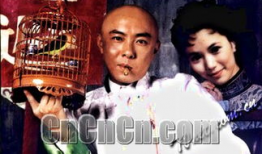 方谬神探 电视剧,智慧与机智交织的探案传奇