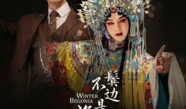 海棠电视剧,穿越时空的浪漫传奇