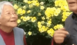 91岁老爷爷直播,岁月流转，智慧依旧闪耀