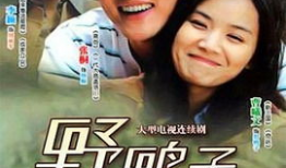 电视剧野鸭子演员表,实力派明星齐聚一堂，演绎感人亲情故事