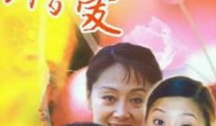 电视剧《错爱》,错综复杂的情感纠葛，揭开人性深处的秘密