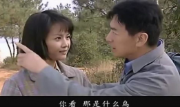 电视剧良心无悔,正义与牺牲的较量