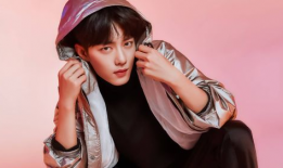 半城风月电视剧,繁华背后的情感纠葛