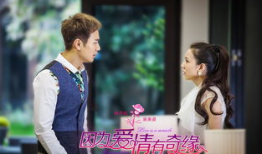 因为爱情有奇缘电视剧,一段跨越时空的浪漫传奇