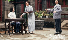 胡同电视剧,一段尘封的往事与青春的回忆