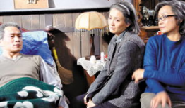 野百合也有春天电视剧,青春绽放的励志传奇