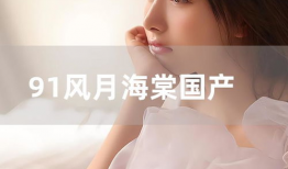 正在直播91风月海棠,91风月海棠，揭秘网络直播界的魅力与争议