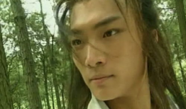 赵鸿飞电视剧,演绎传奇人生，电视剧中的英雄本色