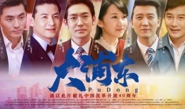 电视剧大,传奇人生，风云际会