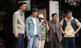 希望的田野电视剧,谱写农村振兴新篇章