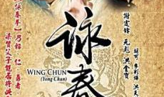 咏春电视剧,拳影江湖，热血青春