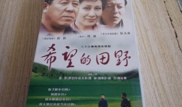 电视剧希望的田野全集,农村改革风云录