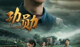 功勋 电视剧,铸就辉煌岁月的传奇英雄