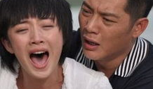 真爱 电视剧,探寻爱情真谛，谱写人生传奇