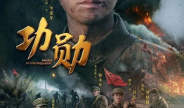 功勋 电视剧,铸就辉煌岁月的传奇英雄
