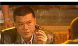 陈一龙电视剧,传奇特工的荣耀与挑战